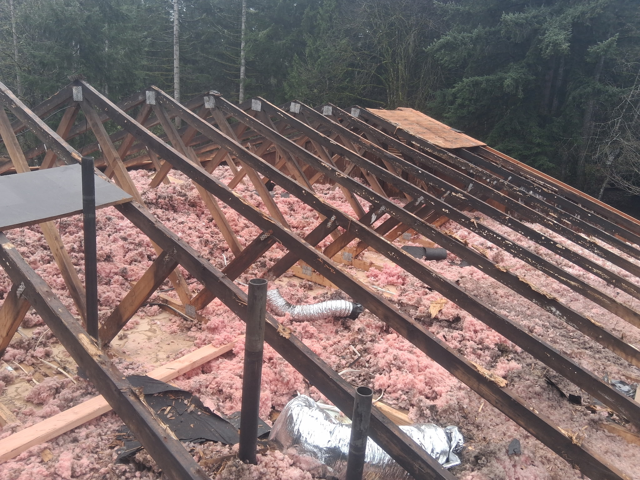 Roof before replacement